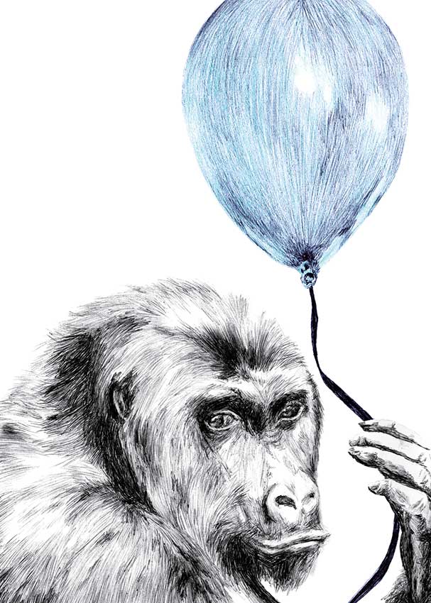 Illustration of Gorilla holding a blue balloon