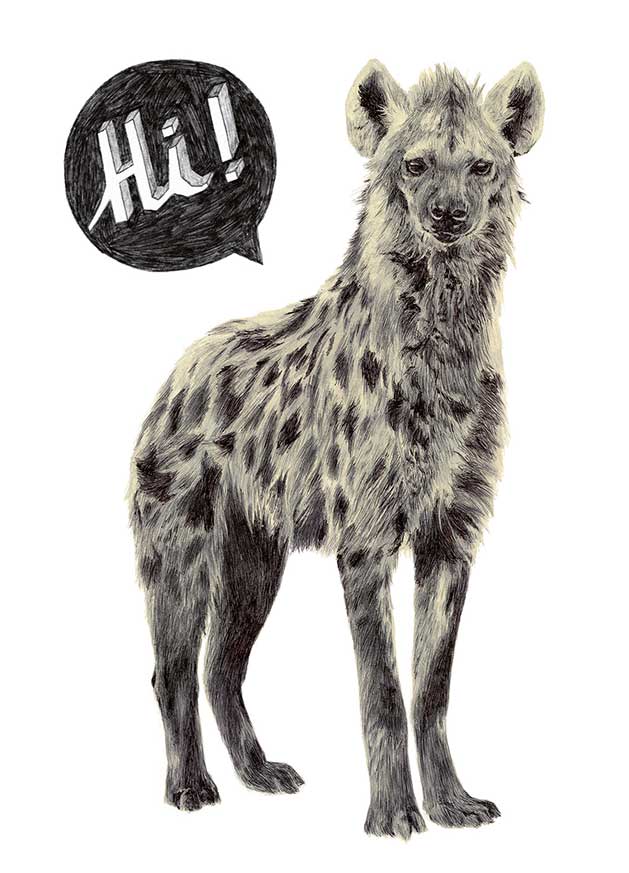 Illustration of hyena saying hi!