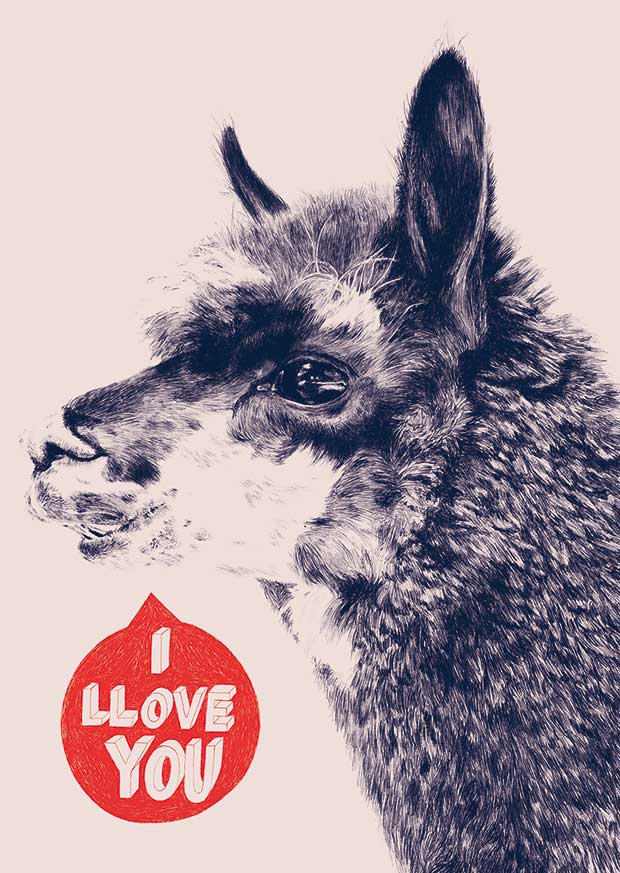 Illustration of llama saying I llove you