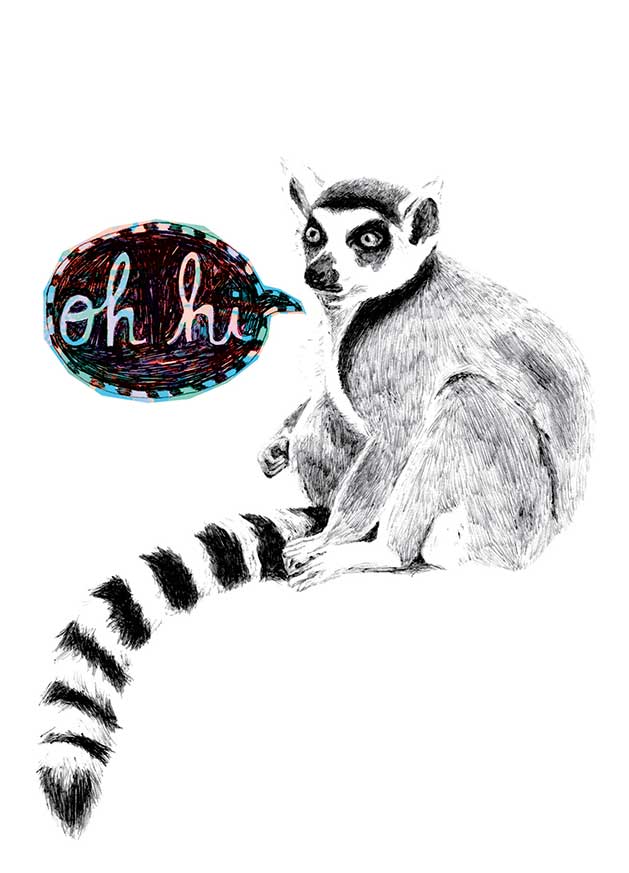 Illustration of lemur saying Oh hi