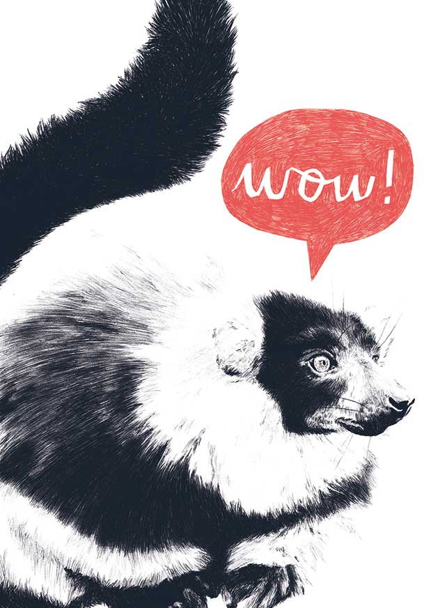 Illustration of lemur saying Wow!